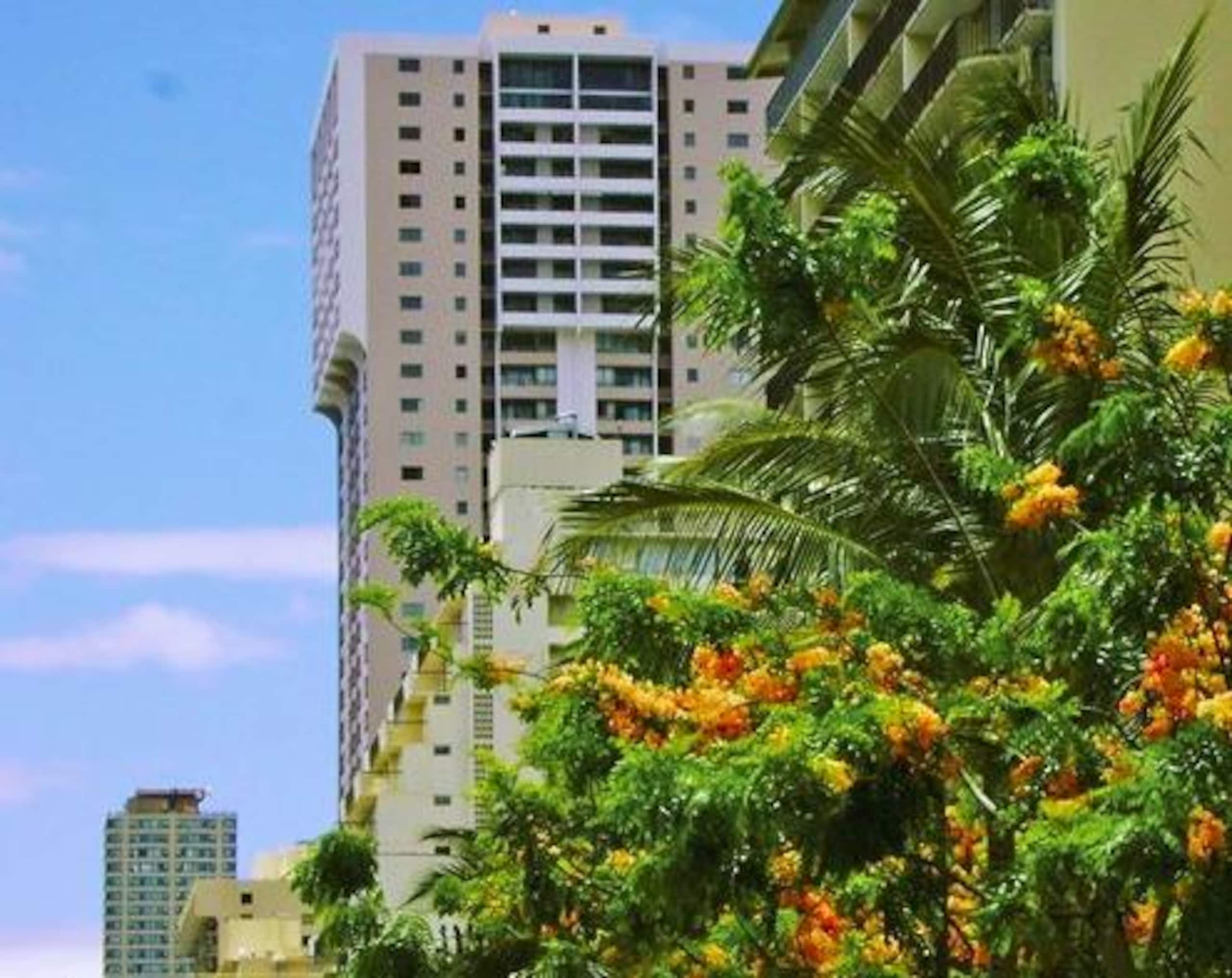 Condo in Honolulu · ★5.0 · 1 bedroom · 2 beds · 1 private bath - Image 16