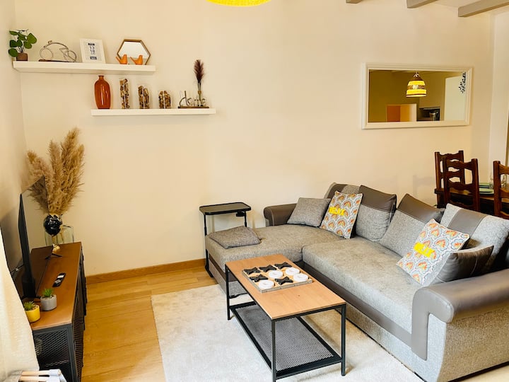 Maison Gabriel, Spacieux Logement Au Cœur Médiéval - Albertville
