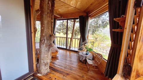 Private Double Tree Bungalow - Sapa Jungle