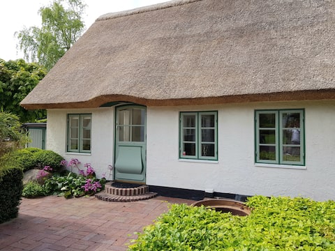 Popular Airbnb listing: House in lush garden located in old Viken in Höganäs