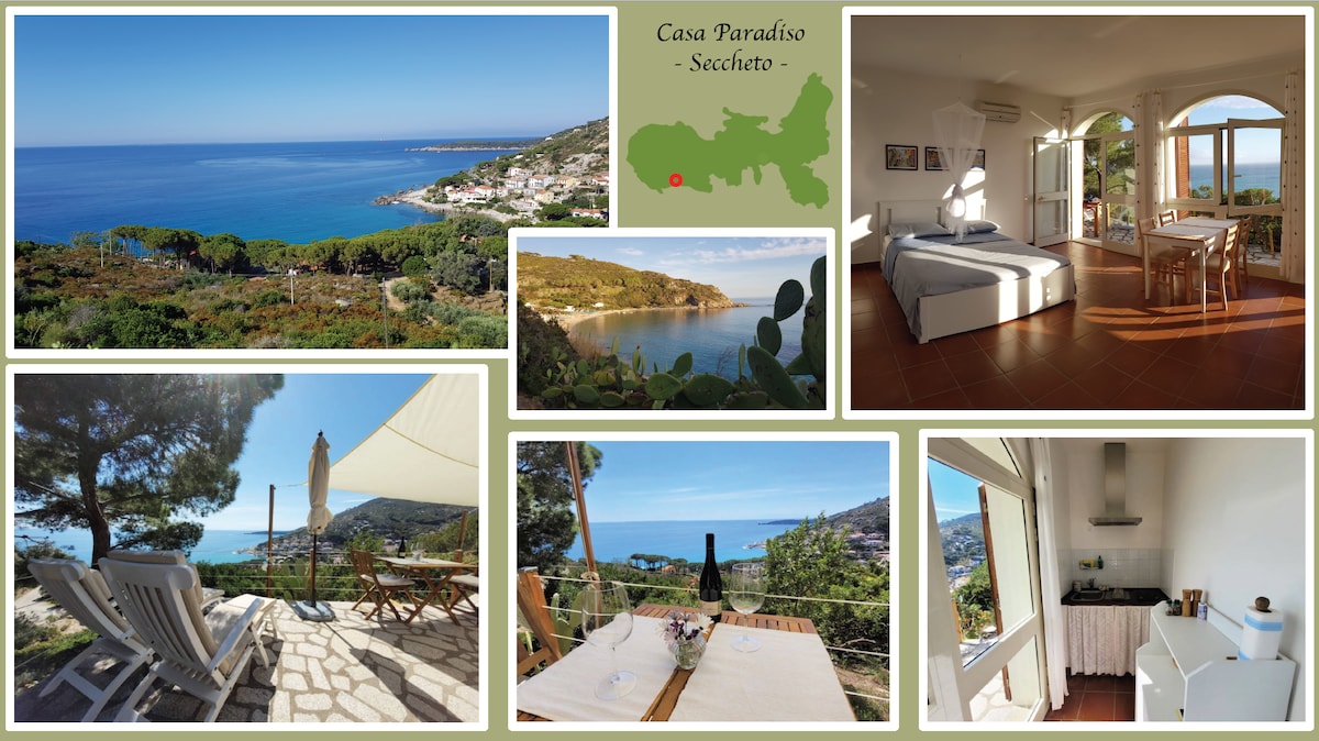A panoramic view of the coastline is presented, showcasing the vibrant blue sea and lush green hills. Sunlight fills the open living space featuring a spacious bed and a well-equipped kitchenette. An outdoor seating area is visible, complete with sun loungers and a dining setup.