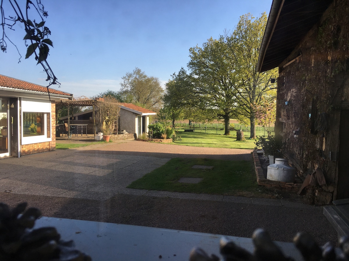 A serene view of the outdoor area is presented, featuring a landscaped courtyard with green grass and mature trees. Buildings are visible on either side, offering a spacious and inviting environment.