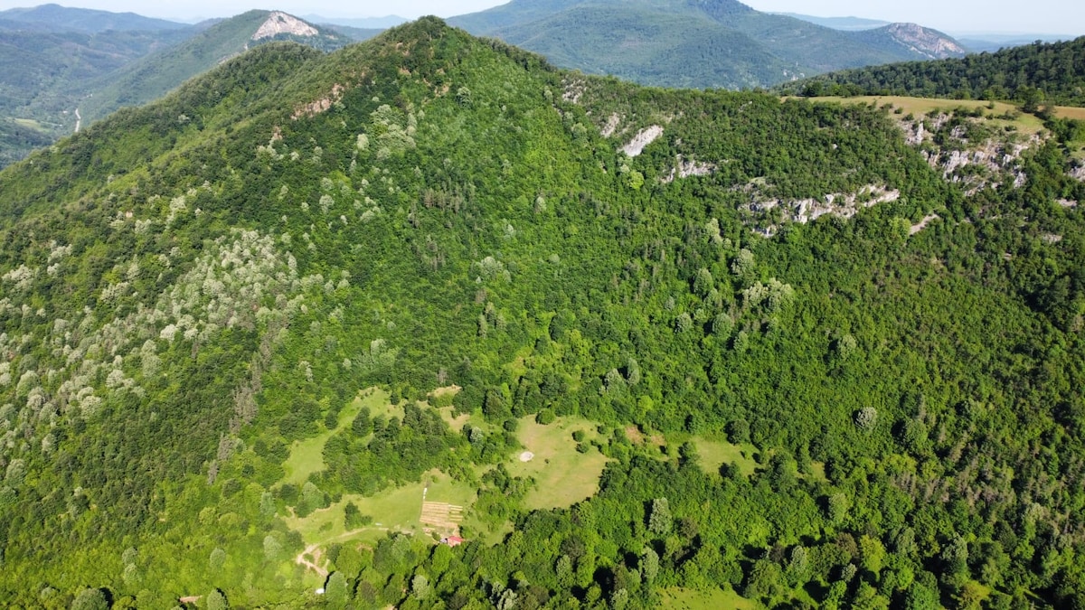 A scenic view of lush green hillsides stretches across the landscape, adorned with varying shades of trees. A gentle slope leads down to an open area with patches of grass and scattered vegetation, creating a tranquil natural setting.