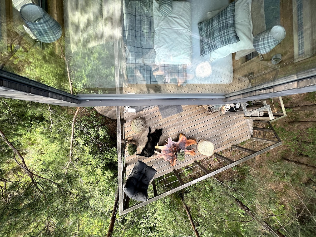 An aerial view of a spacious wooden deck surrounded by trees. Comfortable seating areas are shown, with soft cushions and a cozy fire pit at the center. Large glass windows allow natural light to fill the interior, creating a connection with the serene forest environment.