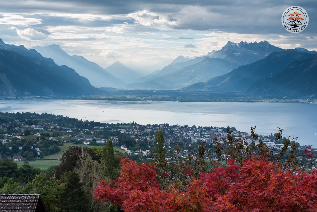 Mont Pèlerin Vacation Rentals & Homes - Chardonne, Switzerland | Airbnb