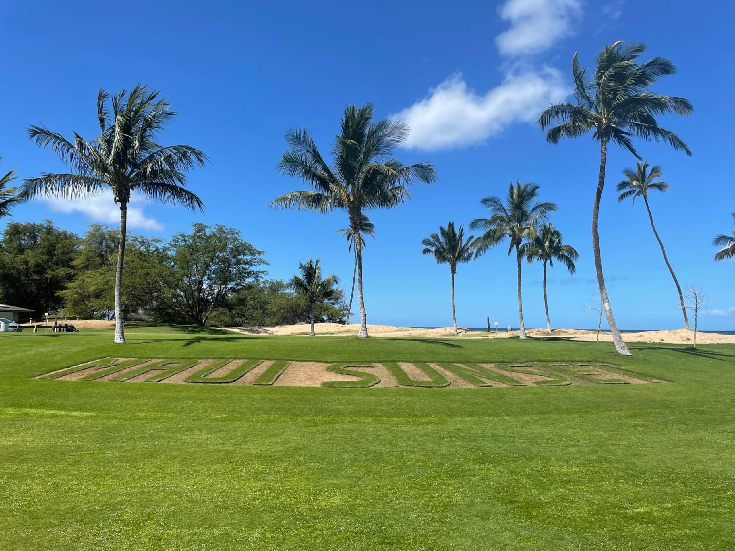 Condo in Kihei · ★4.94 · 1 bedroom · 3 beds · 2 private baths - Image 27