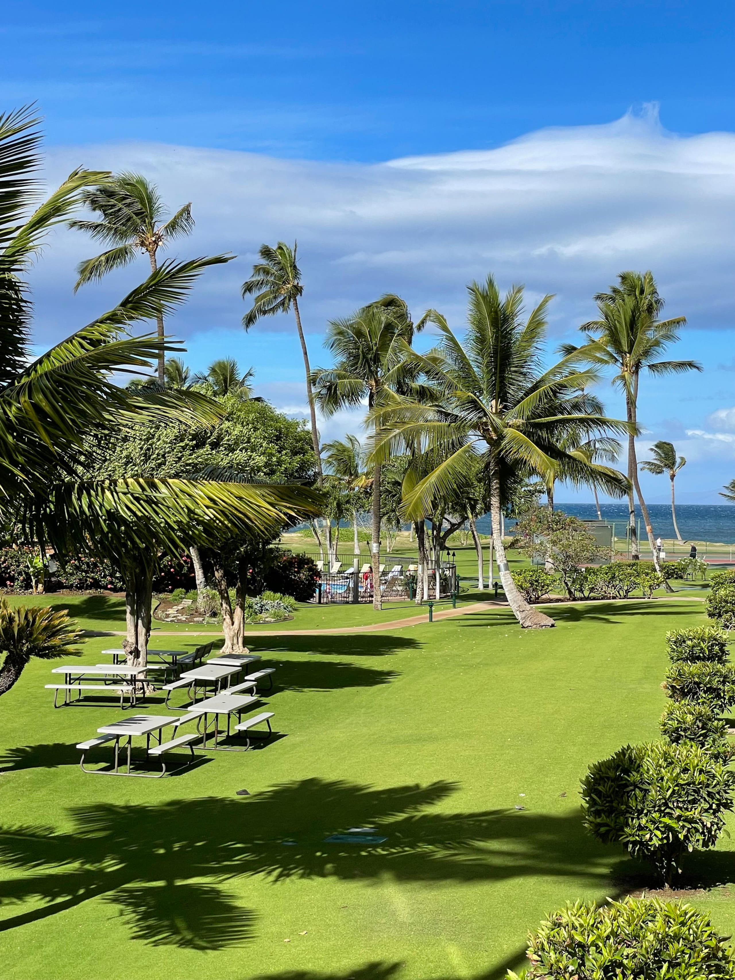Condo in Kihei · ★4.94 · 1 bedroom · 3 beds · 2 private baths - Image 38