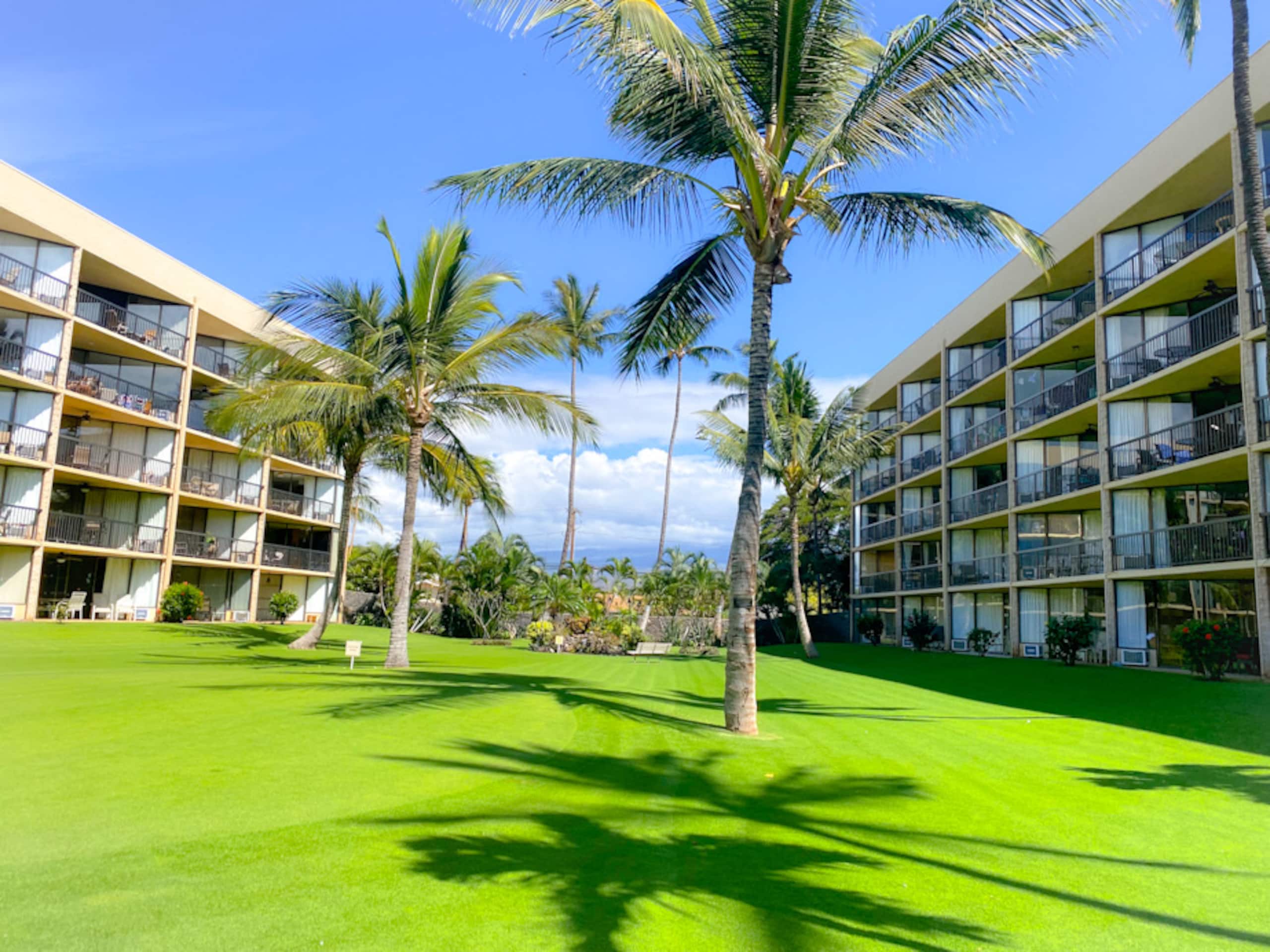 Condo in Kihei · ★4.94 · 1 bedroom · 3 beds · 2 private baths - Image 56