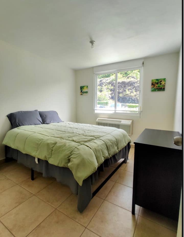 Chumba cha msitu wa mvua kina kitanda cha Malkia, kabati na kabati la nguo.