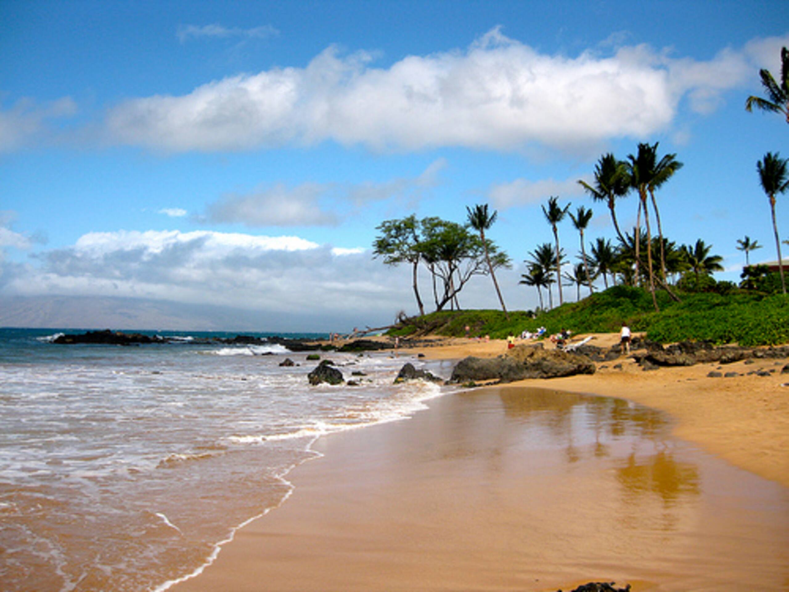 Condo in Kihei · ★4.92 · 2 bedrooms · 4 beds · 2 baths - Image 15