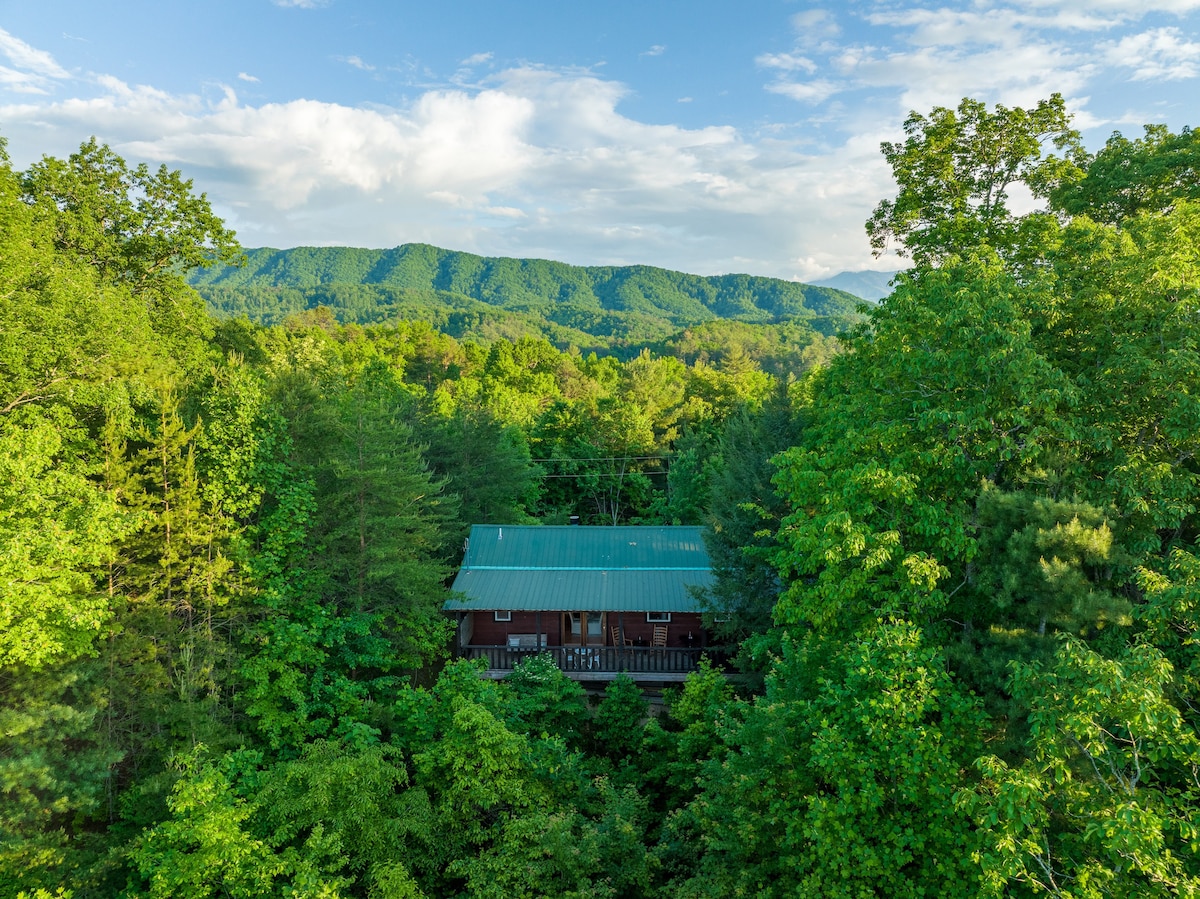 The chalet is nestled amid lush greenery, surrounded by towering trees. Soft mountain silhouettes create a scenic backdrop. A metal roof reflects natural light, while the structure is partially obscured by dense foliage, enhancing the sense of seclusion in the tranquil landscape.