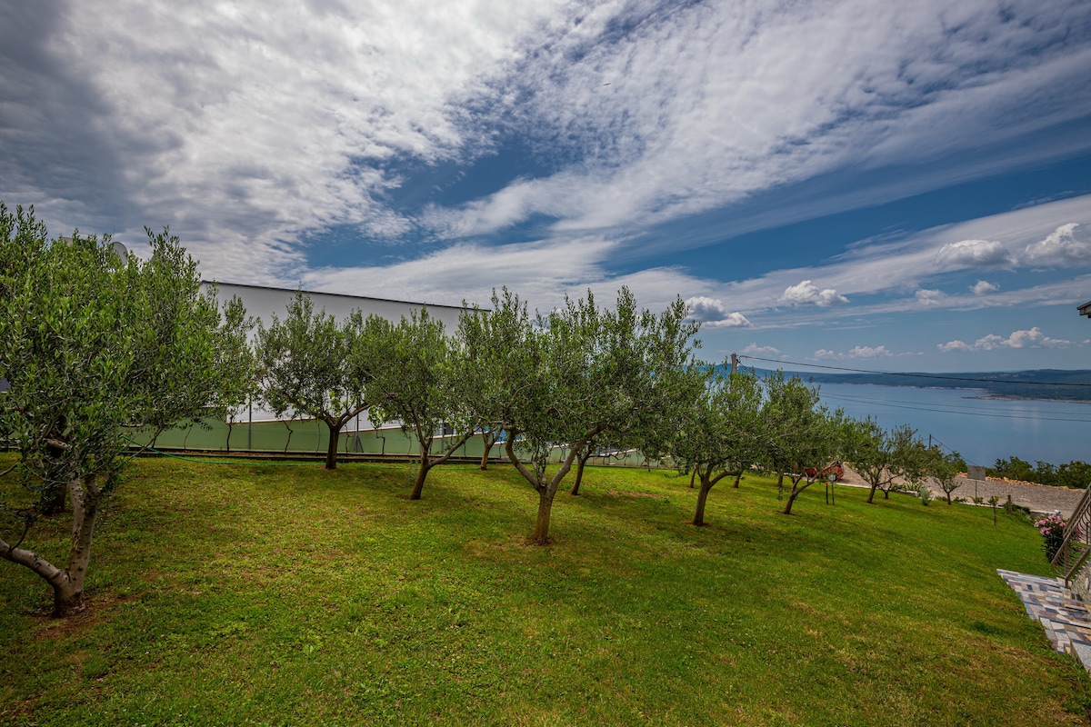 Studio apartman Mistral 6