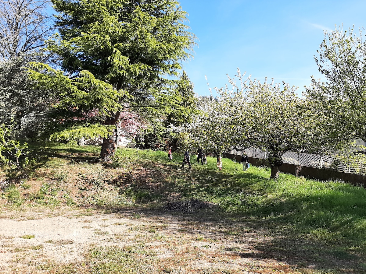 A spacious outdoor area is shown, featuring lush green grass and several trees, including tall conifers and blossoming fruit trees. In the background, people can be seen walking leisurely, enjoying the serene environment under a clear blue sky.