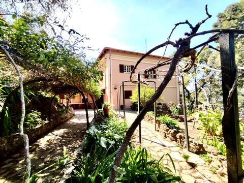 Cool and serene apartment in historic village