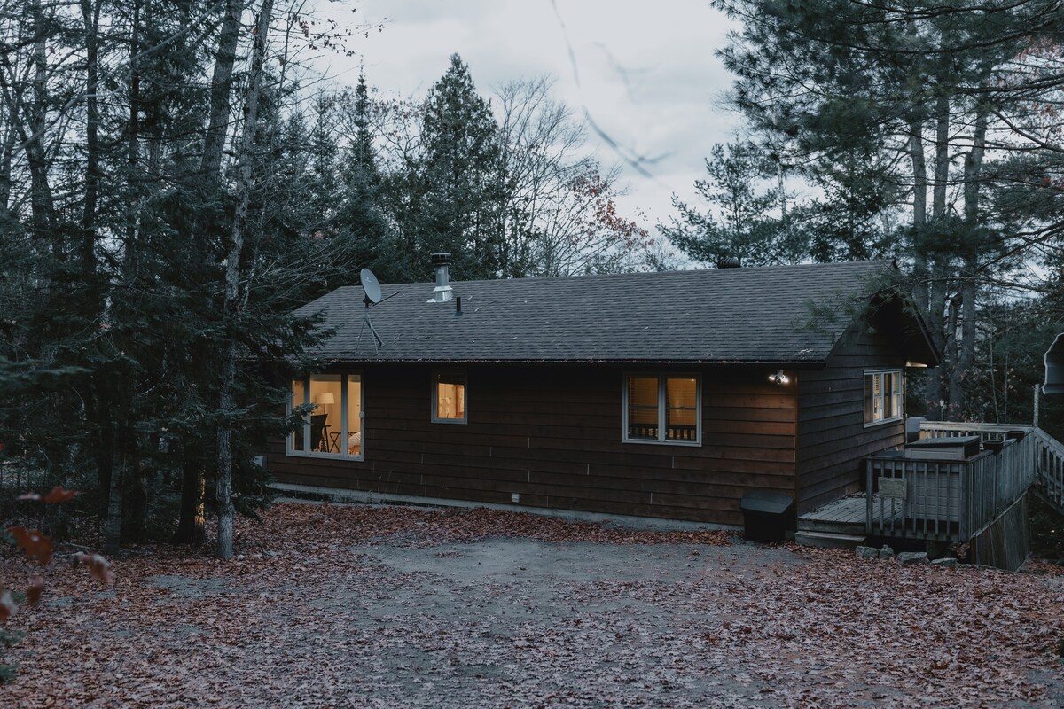 The cottage is surrounded by trees, displaying a rustic wooden exterior. Soft lighting glows from the windows, hinting at a cozy interior. Fallen leaves cover the ground, creating a natural backdrop, while a deck extends from the side of the building.