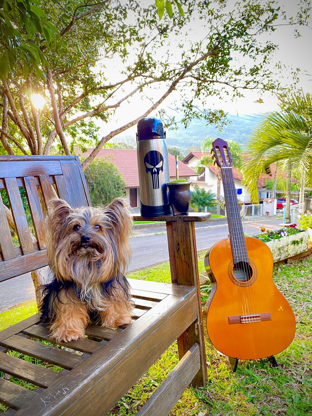 A charming outdoor scene includes a wooden bench with a small dog sitting next to a metal drink container. A classic acoustic guitar leans against the bench, surrounded by greenery and sunlit hills in the background.