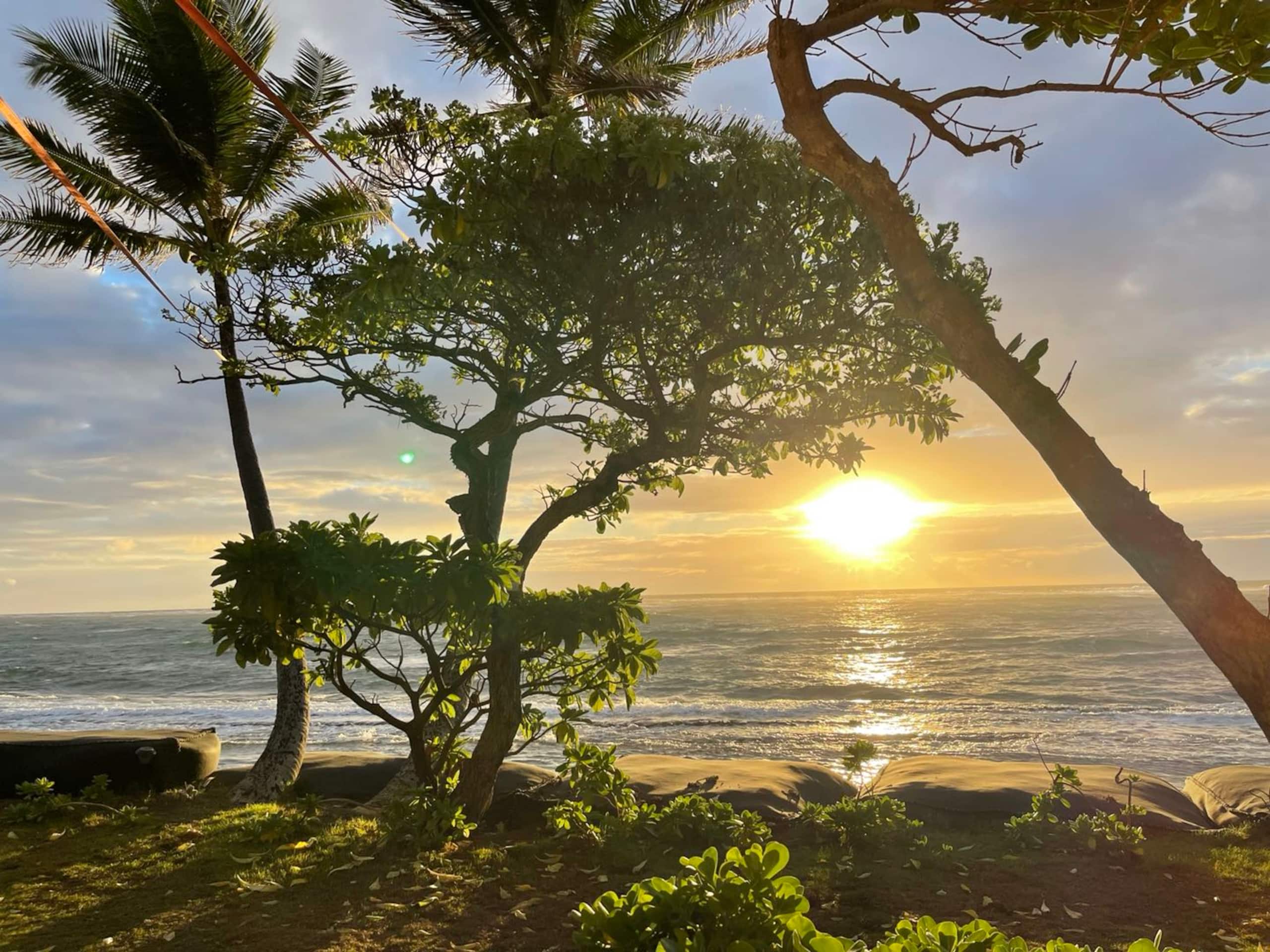 Condo in Kapaa · ★4.79 · 1 bedroom · 1 bed · 1 private bath - Image 18