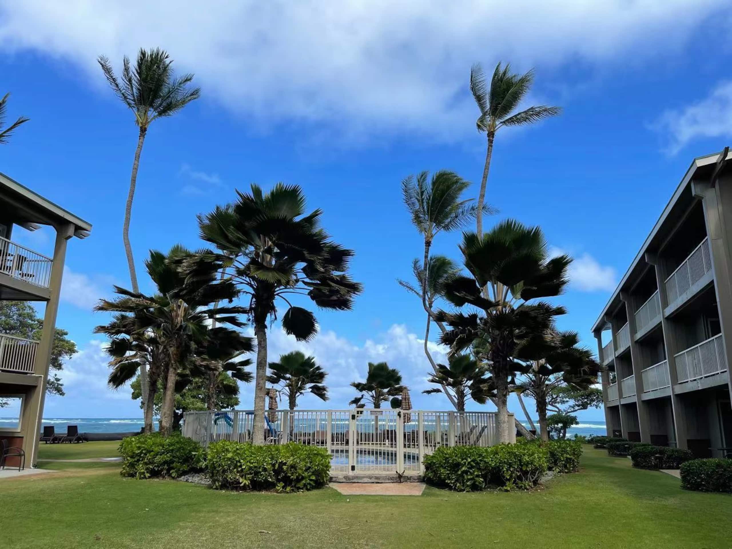 Condo in Kapaa · ★4.79 · 1 bedroom · 1 bed · 1 private bath - Image 7