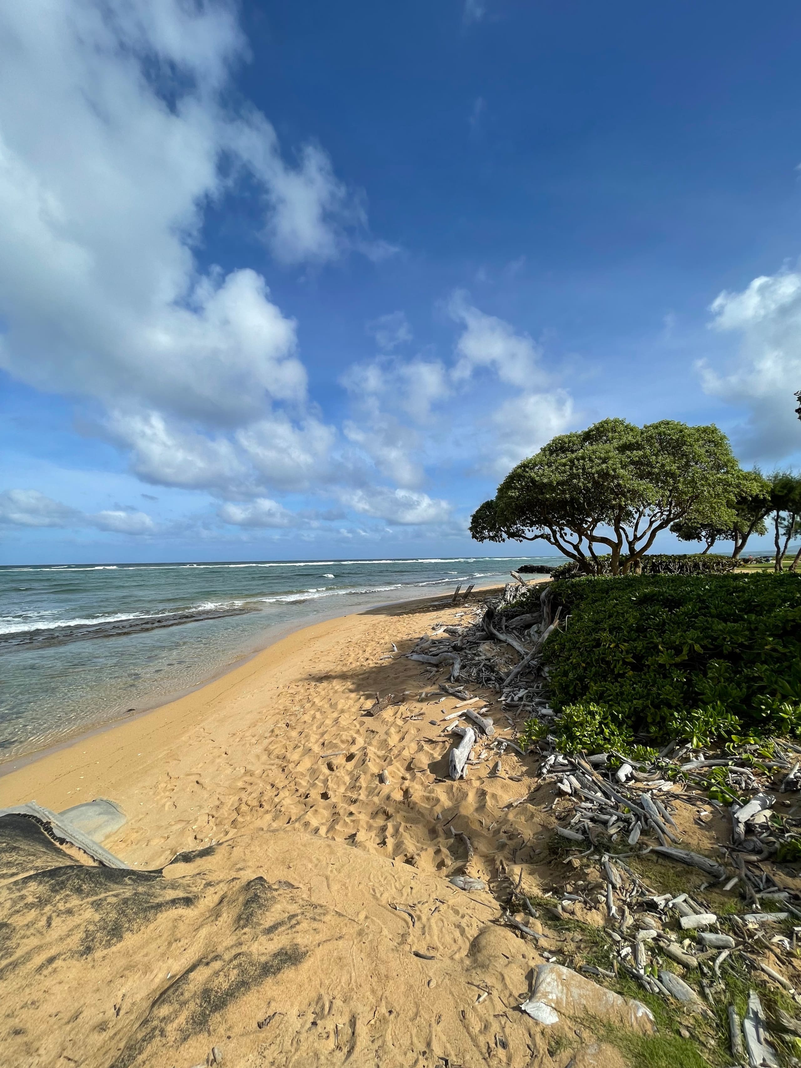 Condo in Kapaa · ★4.79 · 1 bedroom · 1 bed · 1 private bath - Image 19
