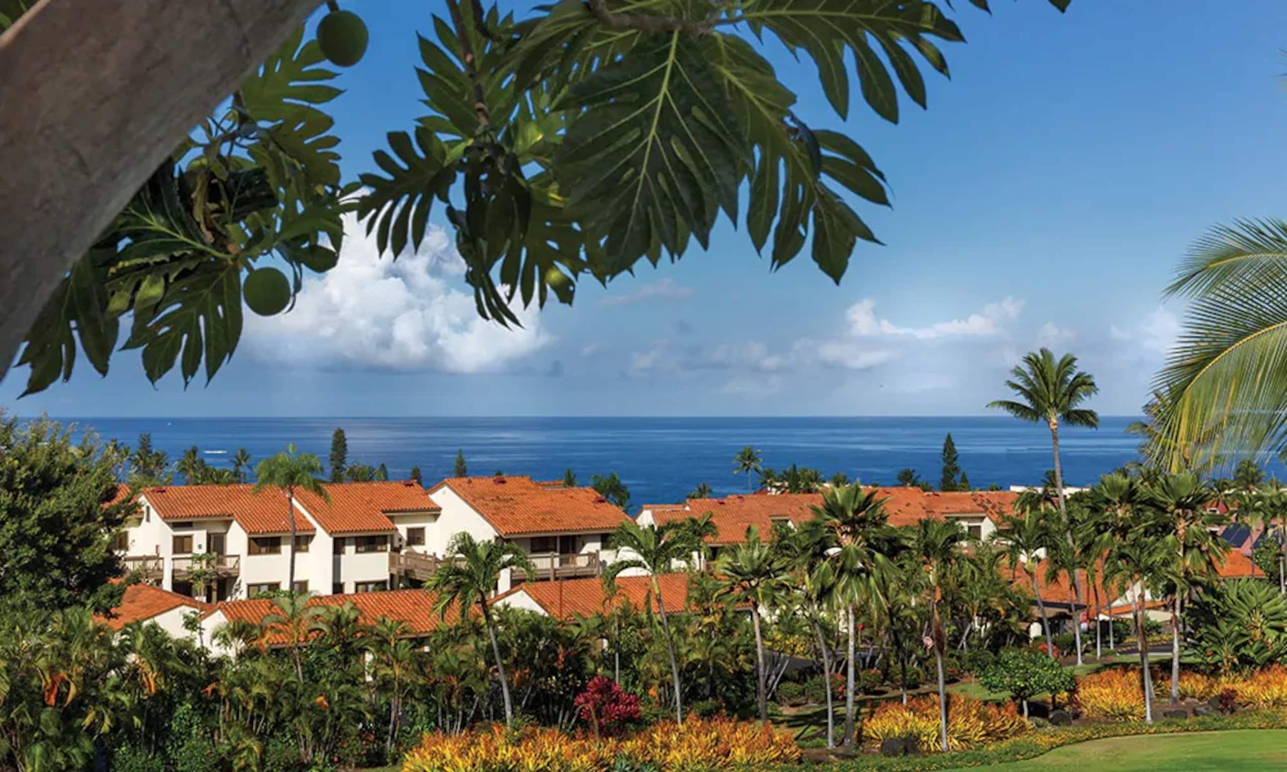 Kona Coast 1 Bedroom - Photo 22