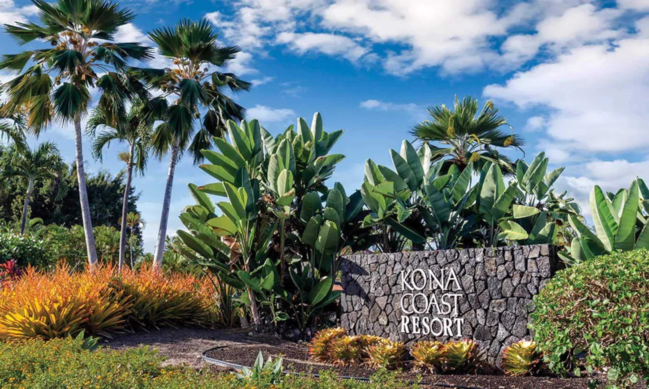 Kona Coast 1 Bedroom - Photo 2