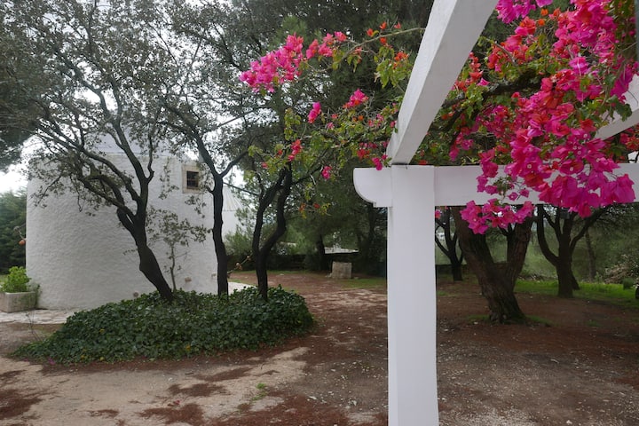 MOINHO DE VENTO, SANTARÉM