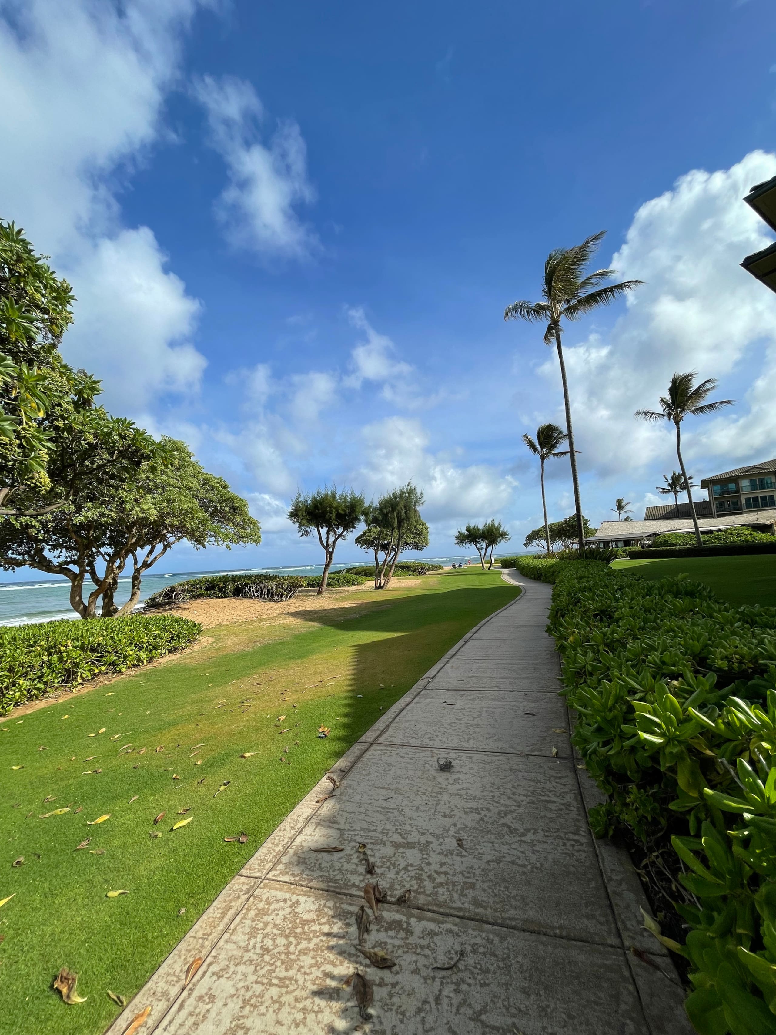 Condo in Kapaa · ★4.88 · 1 bedroom · 1 bed · 1 private bath - Image 19