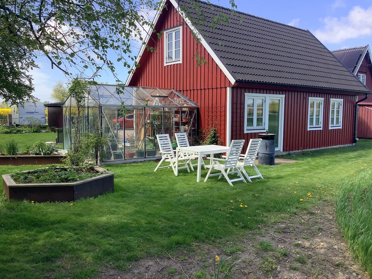 A charming red cottage is set against a clear blue sky, featuring large windows and a sloped roof. Outside, a spacious garden includes a raised flowerbed and seating area with white chairs and a table. A greenhouse is visible nearby, surrounded by lush greenery.