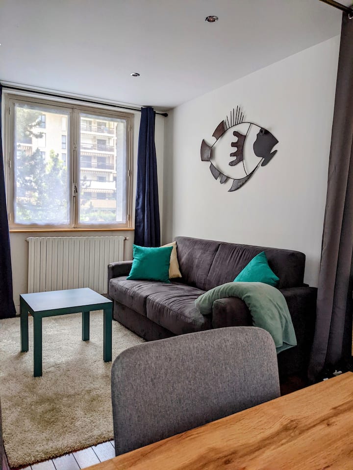 Appart  Proche Lac/centre, Parking Gratuit - Pringy