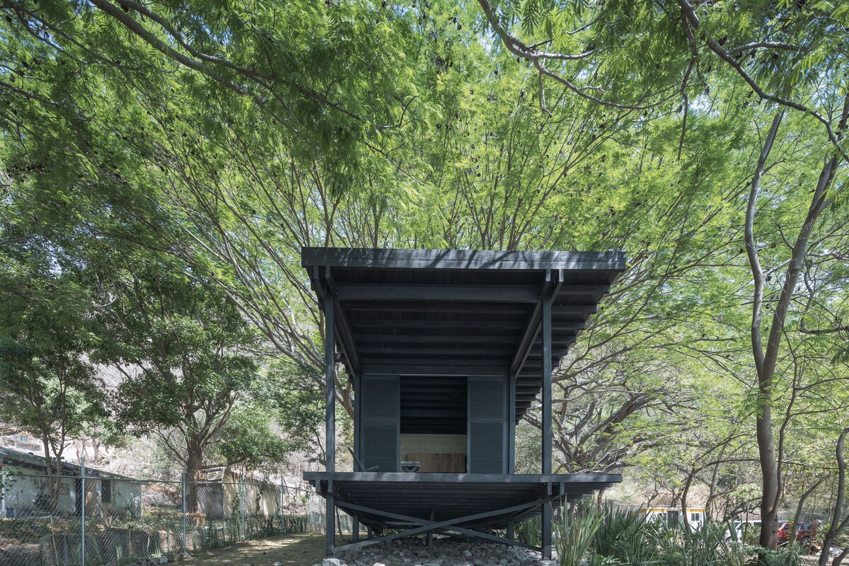 A modern structure is elevated on a platform, surrounded by lush greenery. Large openings allow for natural light to enter the space, while a tree canopy provides shade, creating a serene environment.