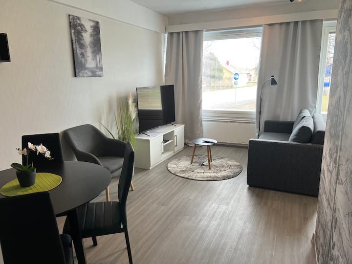 Kemi City Iii ,2 Rooms,kitchen, Balc. Free Parking - Kemi