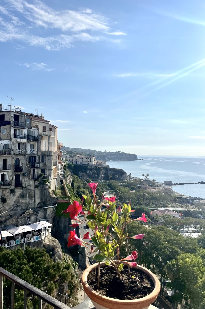 A terracotta pot filled with vibrant pink flowers is set against a scenic view of coastal cliffs and calm blue waters. Buildings are visible along the shoreline, and the sky is clear, showcasing soft clouds. A charming seaside atmosphere is suggested.
