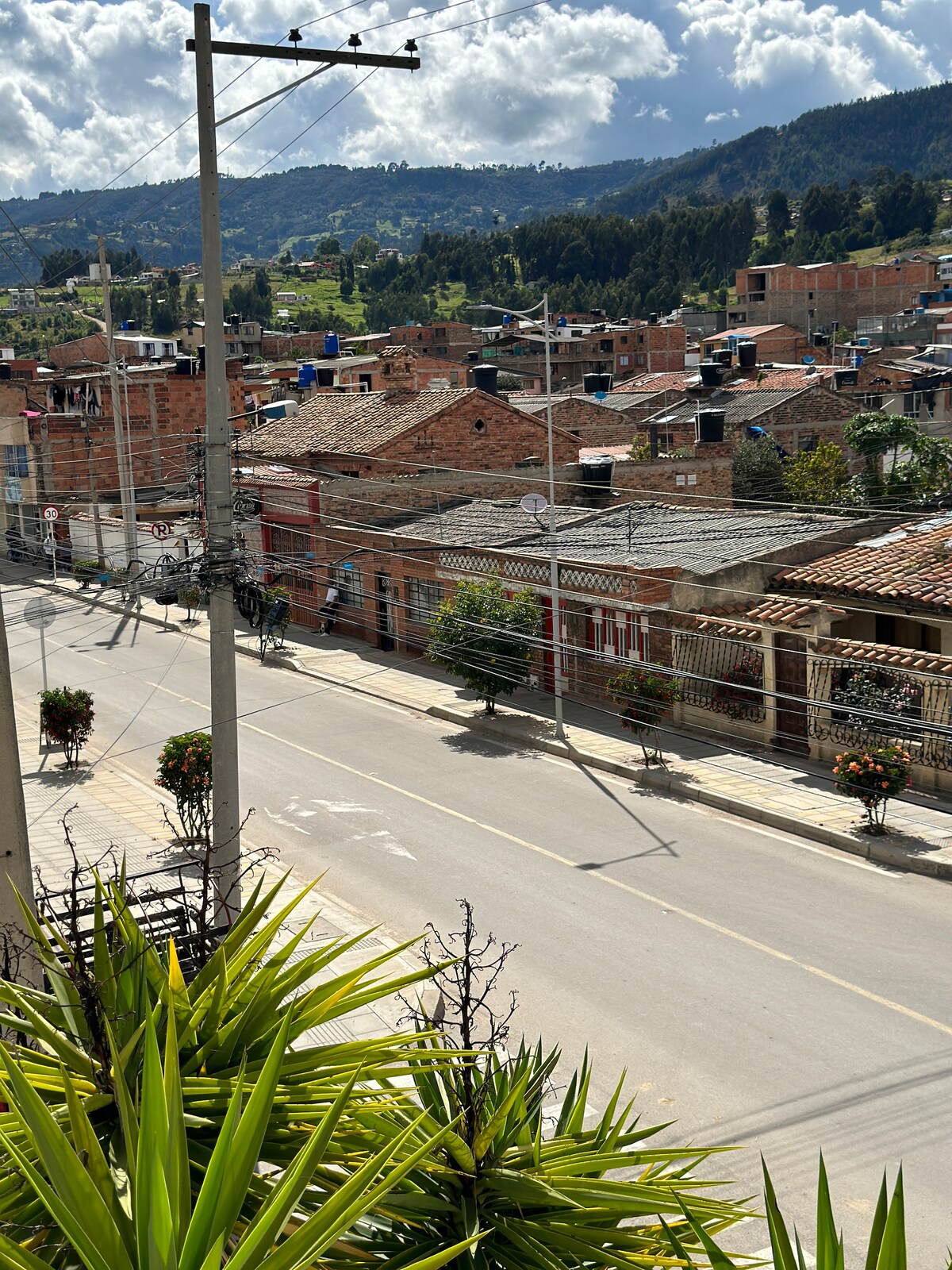 An expansive view of a quiet street is displayed, lined with modest houses featuring red brick facades and tiled roofs. Lush greenery is visible in the foreground, while distant hills can be seen under a partly cloudy sky.