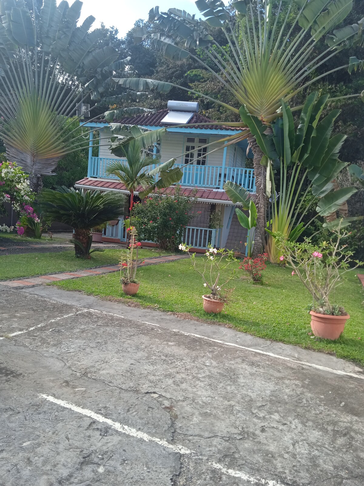 A charming two-story house is surrounded by lush greenery and tropical plants. Colorful flowers are displayed in terracotta pots, while a well-maintained lawn complements the inviting exterior. The house features a light-colored facade with a balcony, enhancing its tranquil setting.
