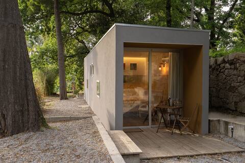 (Mush)ROOM 2,unique in the City and Bosque