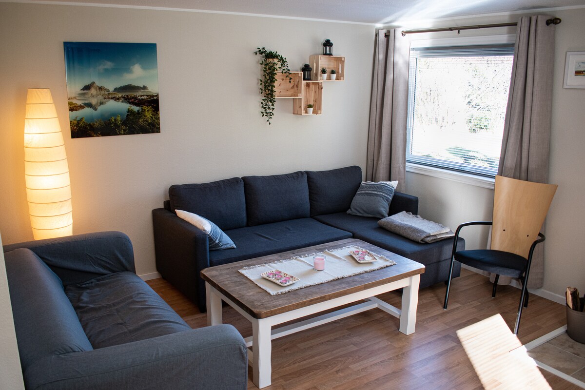 Dhoma e ndenjjes me divan krevat.