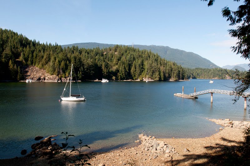 A peaceful waterway is framed by lush green forests under a clear blue sky. A sailboat drifts gently on the water, with a wooden dock extending into the bay. Rocky shorelines and scattered pebbles contribute to the natural beauty of the setting.