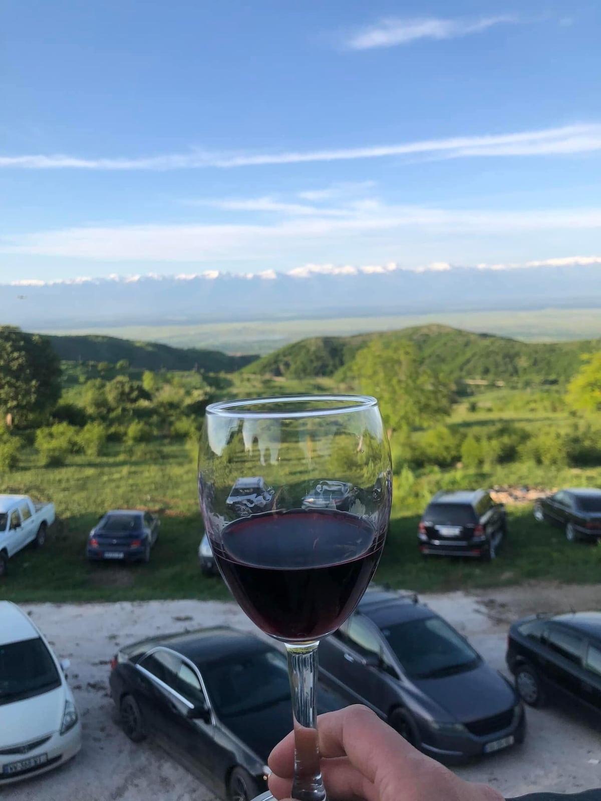 A glass of red wine is held in the foreground, displaying its rich color. In the background, a panoramic view of rolling green hills and distant snow-capped mountains stretches under a clear blue sky, creating a serene natural landscape.