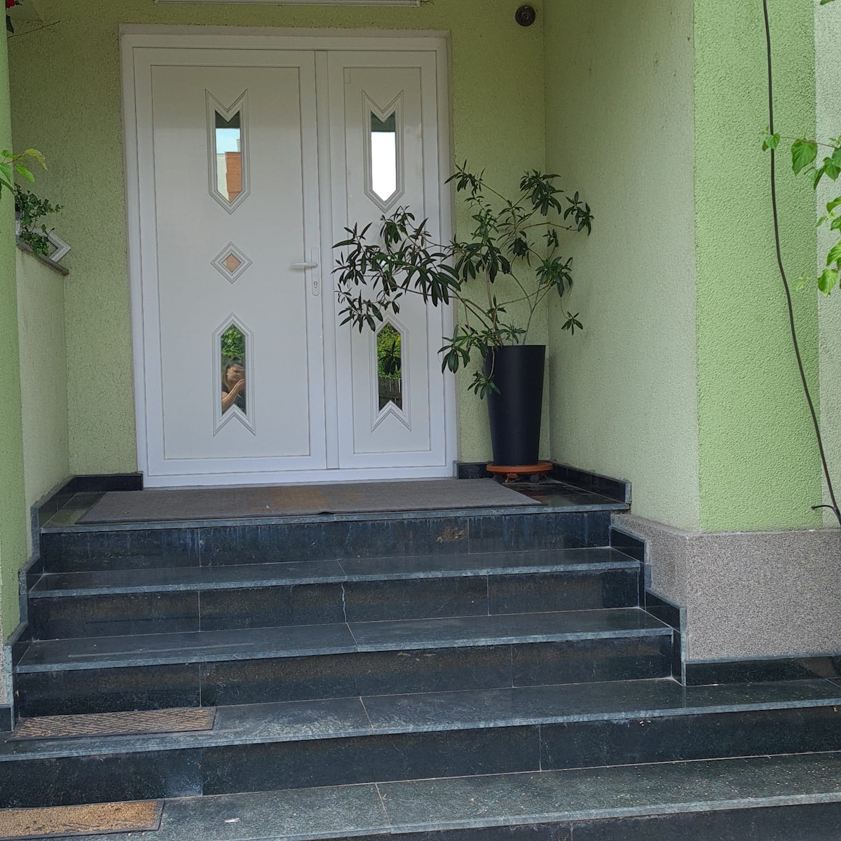 The entrance features a pair of white double doors with diamond-shaped glass inserts. A potted plant is positioned beside the entrance on a small landing. The area is framed by green walls and steps made of dark stone, providing a welcoming approach to the home.