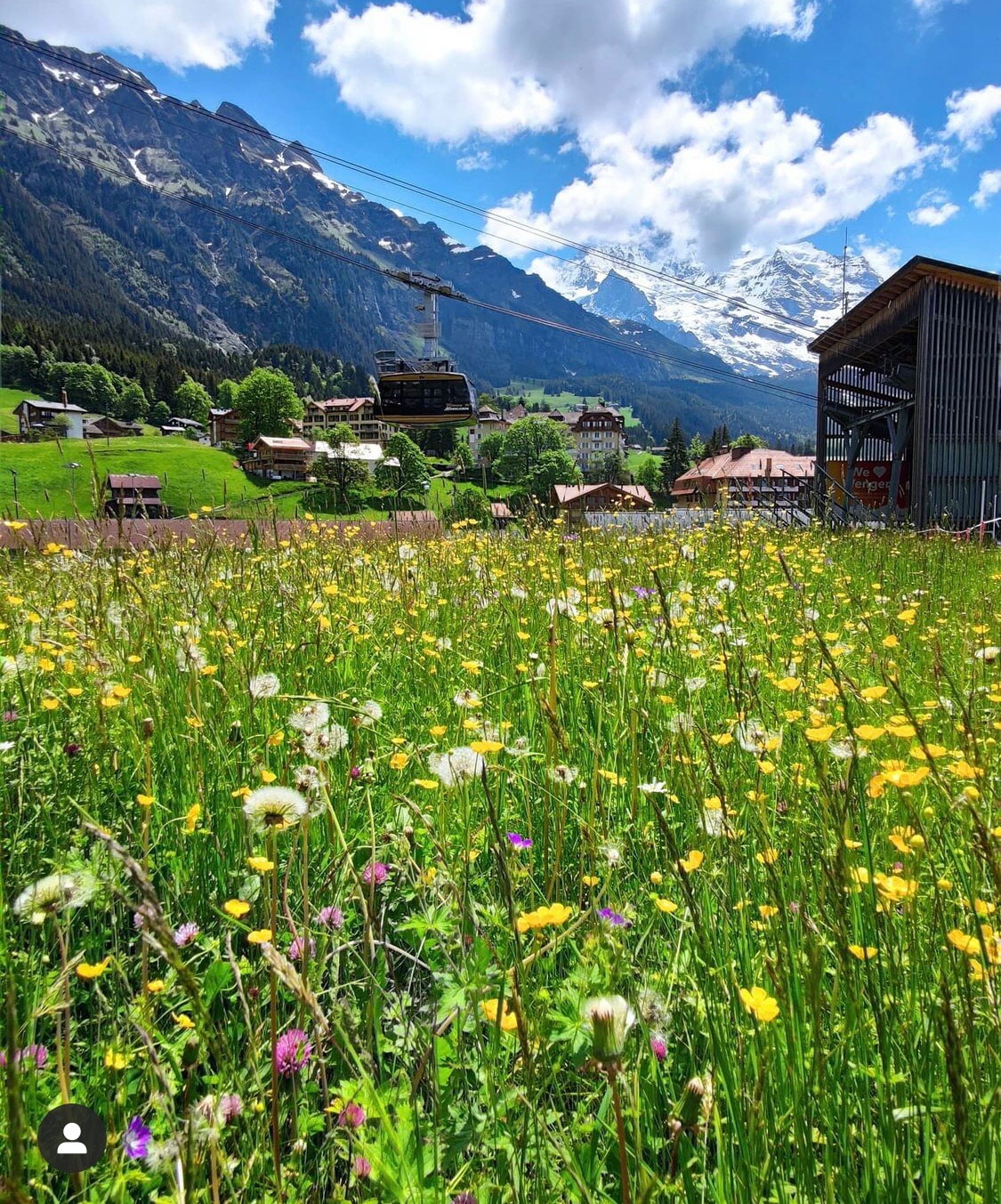 A vibrant field of wildflowers flourishes in the foreground, offering a mix of colors including yellow, white, and purple. Majestic mountains stand in the background, partially covered by snow, under a blue sky dotted with fluffy clouds. The tranquility of the natural setting is emphasized.