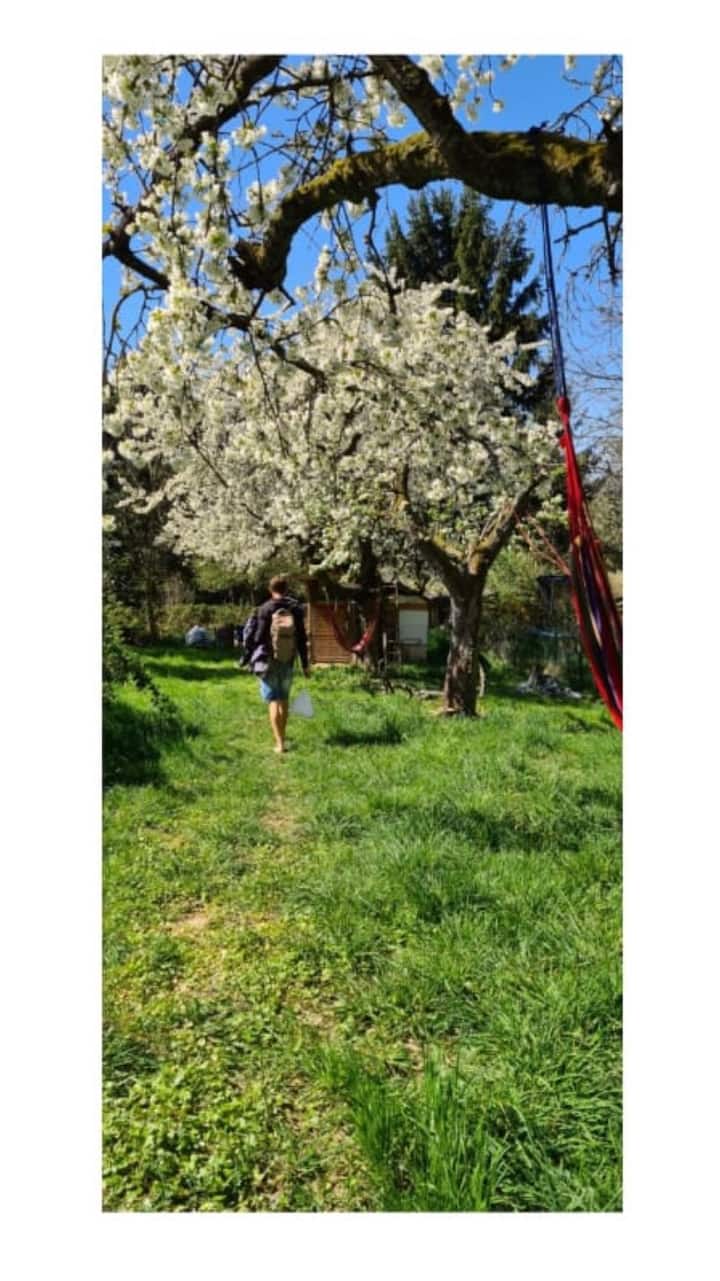 Cabin in the Vineyards Huts for Rent in Eltville am Rhein, Hessen