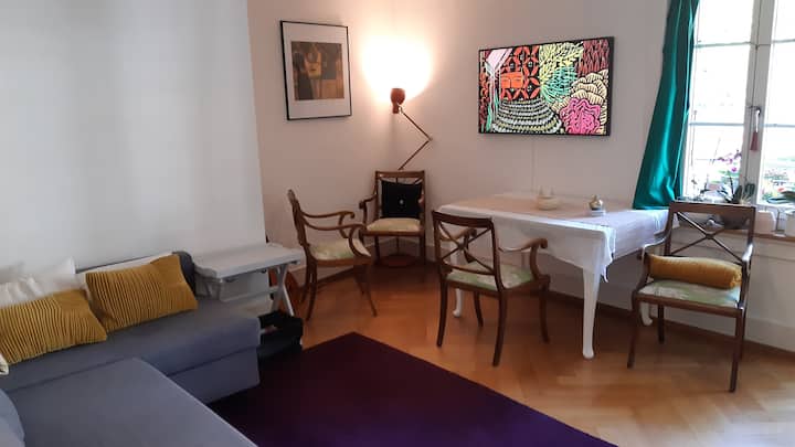 Lovely 3-room Apartment In Lorraine Bern - Bern