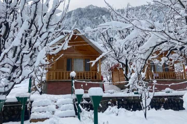 The Midnight Garden can help you eliminate all those negativities by relaxing and refreshing yourself with positive vibes.