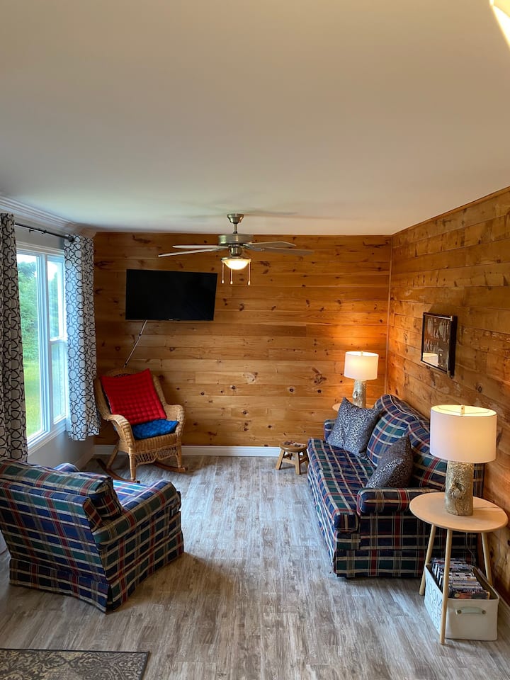 带拉出式沙发的客厅