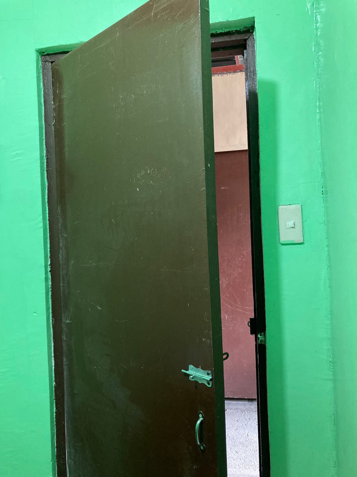 An open wooden door is displayed, revealing a glimpse of a room beyond. The door is framed by green walls, contributing to the space's lively atmosphere. A light switch is visible on the wall beside the door, adding functionality to the area.