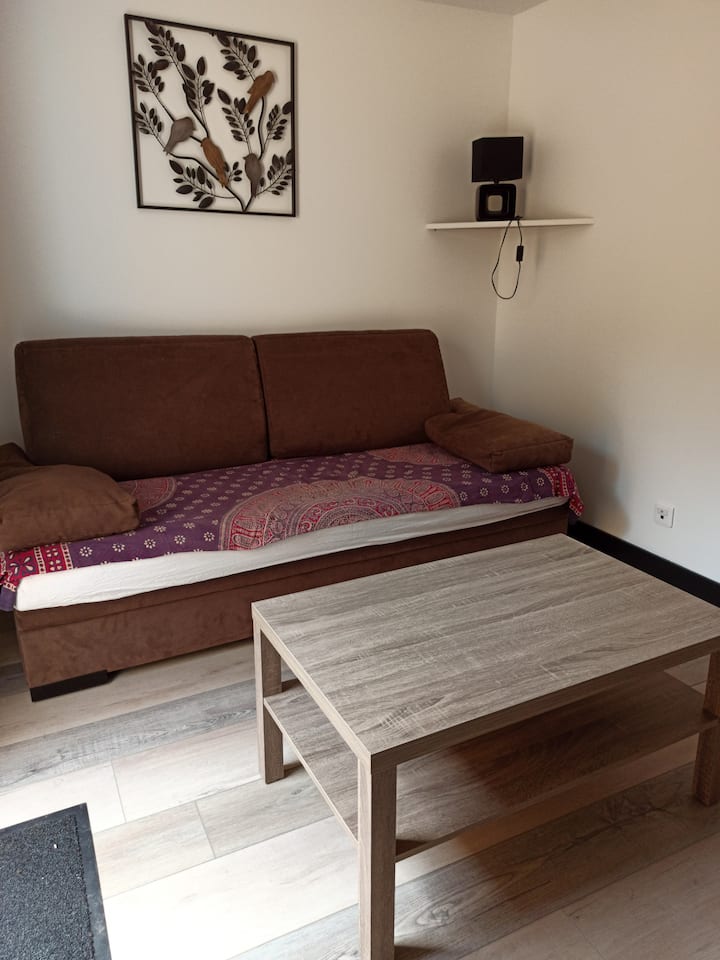 Studio Moderne Avec Terrasse Et Jardinet (Central) - Herbignac