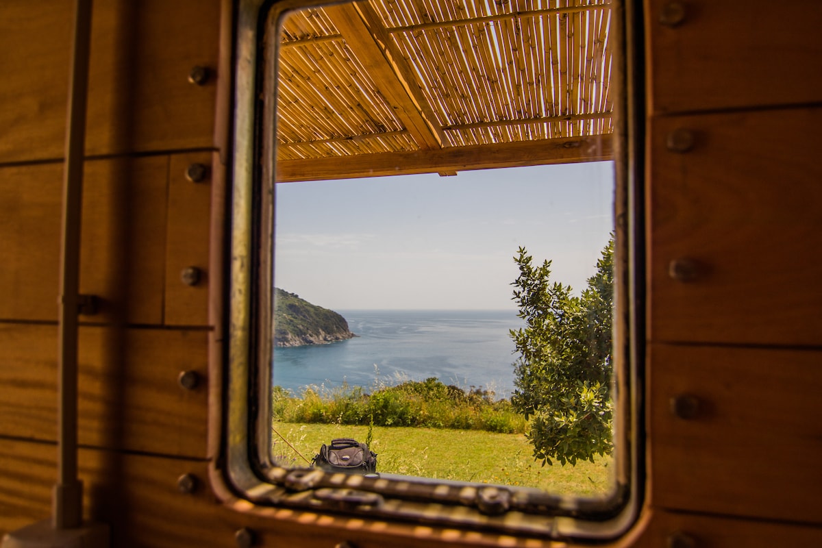 A window frame crafted from wood offers a clear view of the serene coastal landscape. Lush green grass leads to the sparkling blue sea, with gentle hills on the horizon under a bright sky.