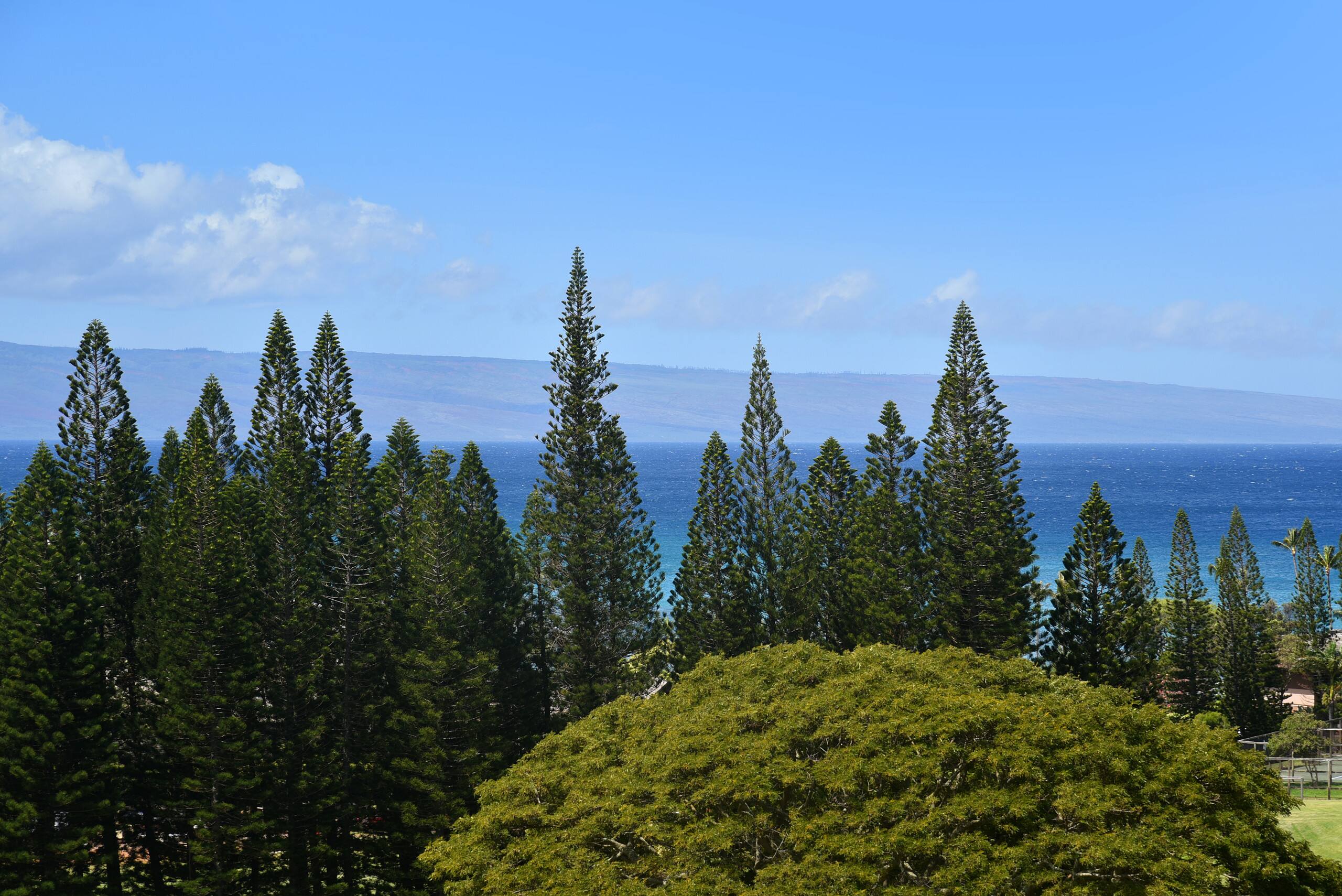 Condo in Lahaina · ★4.85 · 1 bedroom · 4 beds · 1.5 private baths - Image 43