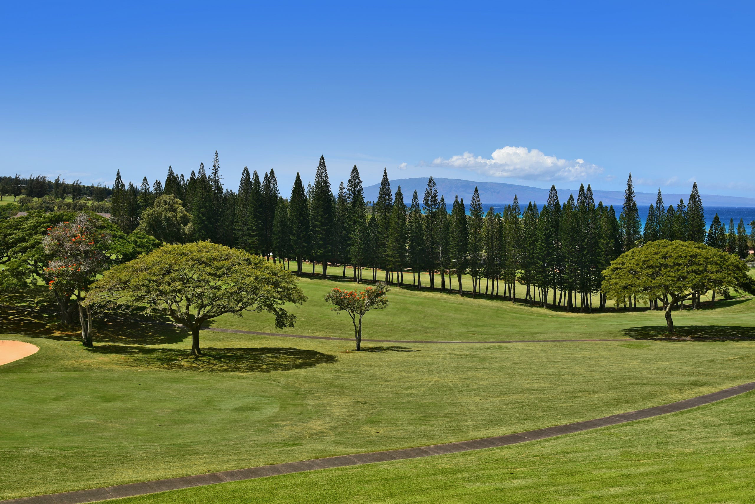 Condo in Lahaina · ★4.85 · 1 bedroom · 4 beds · 1.5 private baths - Image 45