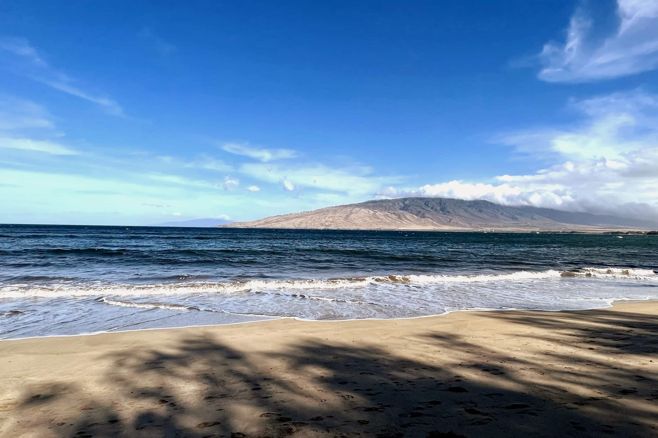 Condo in Kihei · ★4.9 · 1 bedroom · 1 bed · 1 bath - Image 21